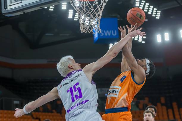 为我们揭示 为我们揭示