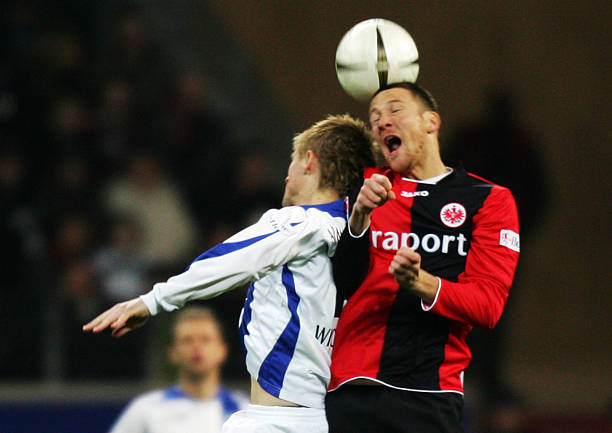 期待他们在 期待他们在